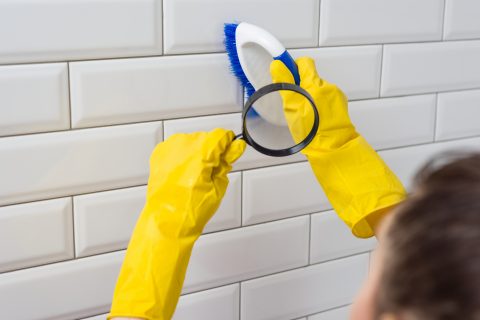 Disinfection Cleaning